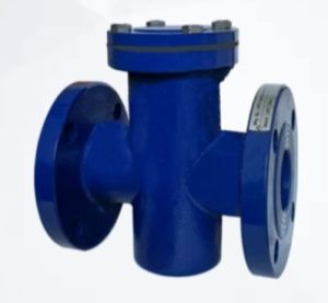 Industrial Cast Iron T Type Basket Strainer