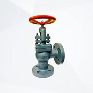 PN16 Cast Iron Right Angle Non Return Valve