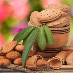 Hard Shell Kashmiri Almonds