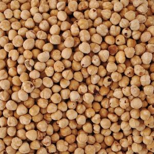 Hazelnut