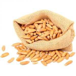 Pine Nut Kernel