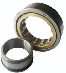 Cylindrical Roller Bearings