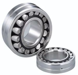 Stainless Steel Ball Bearings