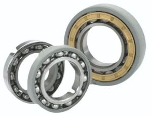 Stainless Steel Ball Bearings