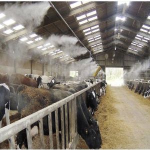 Cattle and Poultry Industrial Humidifier