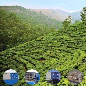 Humidification System For Tea Industry