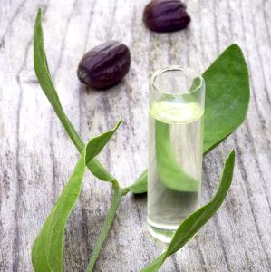 Clear Jojoba Oil