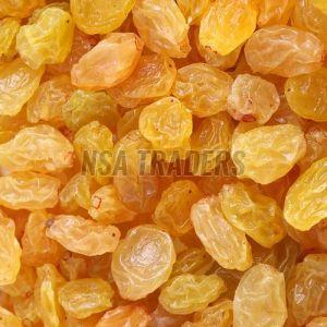 Golden Raisins