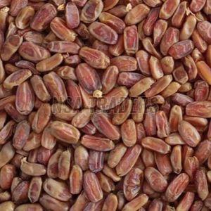 Seedless Dates