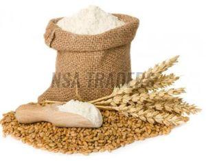 Wheat Flour