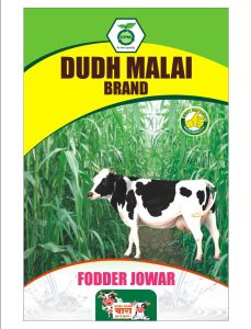 Fodder Jowar