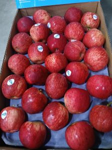 A Grade Fresh Red Apple