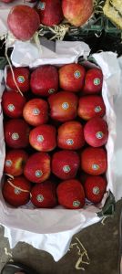 A Grade Iran Apple