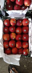 A Grade Iran Apple