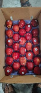 Washington Red Delicious Apples