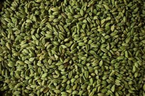 7.5mm Organic Green Cardamom