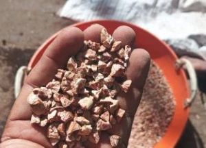 Diamond Cut Areca Nuts