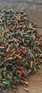 Dried Bird Eye Chilli