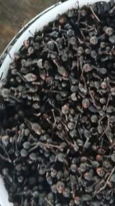 Dried Black Nagkesar