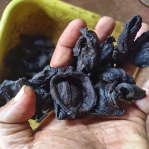 Dried Garcinia Cambogia