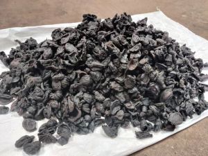 Dried Garcinia Cambogia