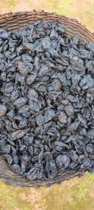 Dried Garcinia Cambogia