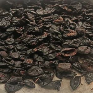 Dried Kokum Fruit