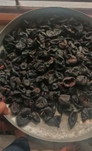 Dried Kokum Fruit