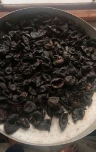 Dried Kokum Fruit