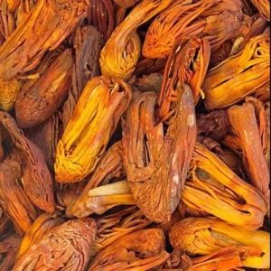 Dried Rampatri