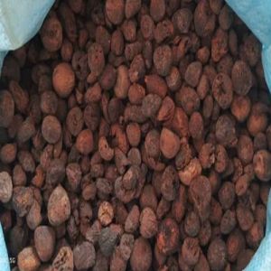 Kalwar Areca Nuts
