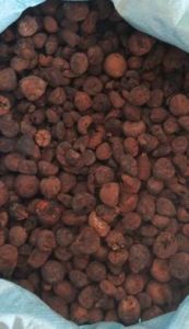 Kalwar Areca Nuts