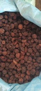 Kalwar Areca Nuts