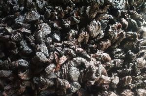 Kudampuli Black Tamarind