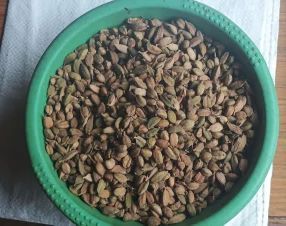 Natural Organic Green Cardamom