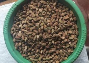 Natural Organic Green Cardamom