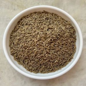 Organic Cumin Seeds