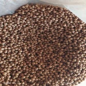 Organic White Pepper Seeds