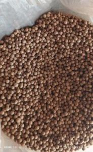 Organic White Pepper Seeds