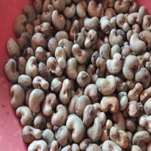 Raw Cashew Nuts