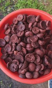 Red Betel Nuts
