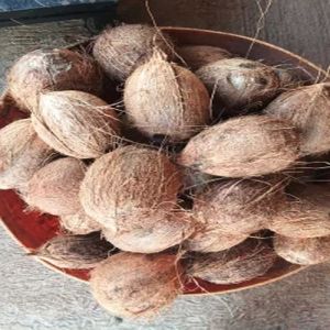 Semi Husked Coconut
