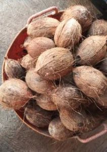 Semi Husked Coconut