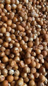 Whole Areca Nuts