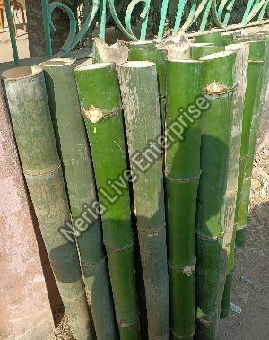 Bamboo Poles