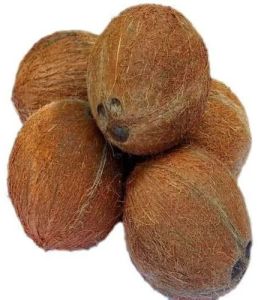Fresh Dehusked Coconut