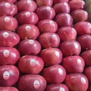 Fresh Kashmiri Apple