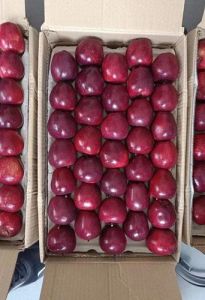 Fresh Kashmiri Apple