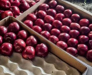 Fresh Kashmiri Apple