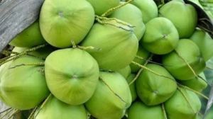 Fresh Tender Coconut